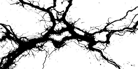 Obraz premium Splash Texture grunge black or white of grunge cracks dust and scratches old paint texture vector white background.