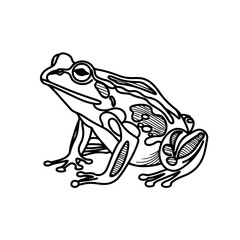Detailed Frog Vector Line Art - Artistic Wildlife Illustration