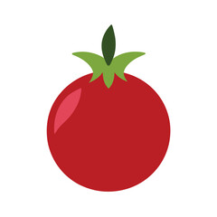 Pomegranate Fruit Vector Illustration - Cartoon, Clipart, and Line Art Designs.eps