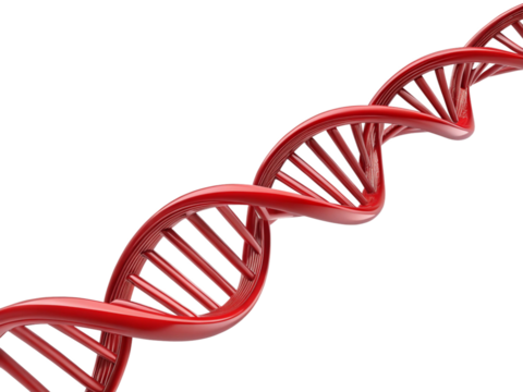 DNA helix, red and white, genetic structure, scientific illustration, 3D rendering isolated on a white background.png