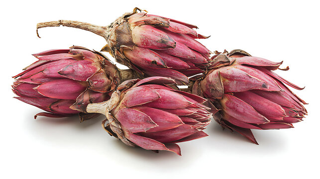 Fresh Red Torch Ginger Buds: These vibrant red torch ginger buds are perfect for adding a touch of exotic beauty and tropical flair to your culinary creations.