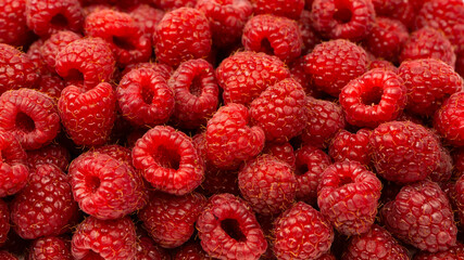Tasty fresh raspberry as a background.