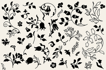 Set of flowers, leaves. Doodles. Handmade decorative elements. Vector illustration