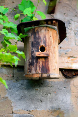 A homemade bird house hangs on the wall near the plants