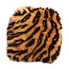 Tiger fur isolated on transparent background © Minu Mamtaj