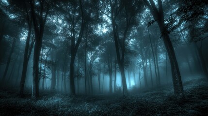Naklejka premium Eerie Foggy Forest Path Enveloped in Mystery