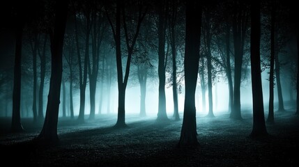 Obraz premium Enigmatic Foggy Forest Night Scene With Tall Trees