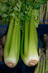 Celery on a Market Stall