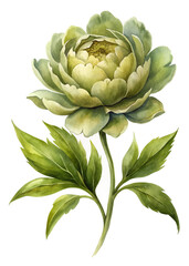 Green floral illustration, watercolor style, botanical art, detailed flower design, nature-inspired decor, elegant plant imagery.