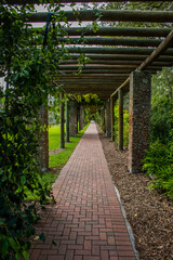 Exploring a tropic botanic garden near Coral Gables, Florida