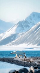 Fototapeta premium Polar bear walking along the shoreline with snow-capped mountains and a serene blue ocean in the background during a clear day in the Arctic