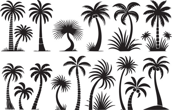 A silhouette of three palm trees black