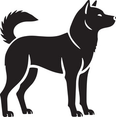 A close up of a dog sitting on a white background