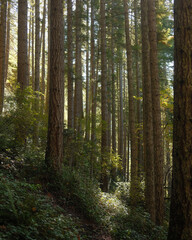 Scenes from the hike