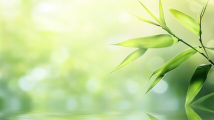 A green bamboo stalk against a soft blurred background, creating a calm and natural atmosphere, wallpaper AI generated image