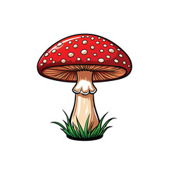 Create a detailed vector illustration of an Amanita muscaria mushroom in a cartoon style.