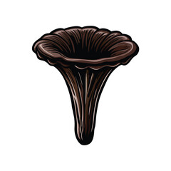 Detailed vector illustration of a black trumpet mushroom with a brown color scheme.