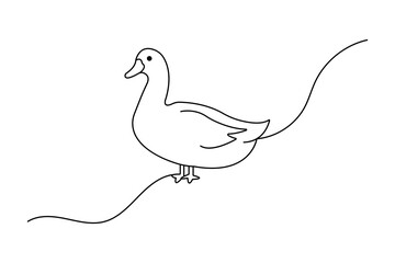 Duck continuous one line drawing with outline vector illustration