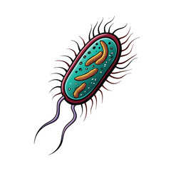 Detailed vector illustration of Listeria monocytogenes bacteria with flagella, showing internal structure.