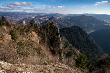 view from the top, mountains, forest