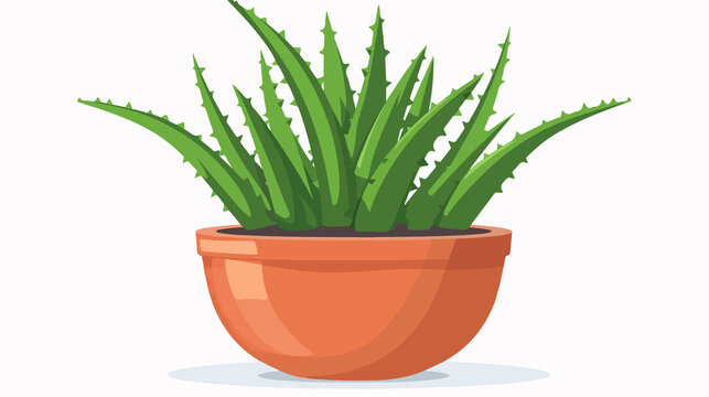 Modern Flat Vector Illustration of Indoor Potted Aloe Vera Plant