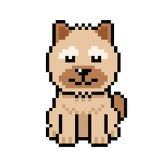Obraz premium Pixel art shih tzu dog vector in retro style for design.