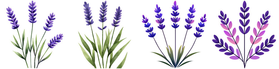 Fototapeta premium Watercolor lavender design and botanical minimalist, A collection of stylized lavender flowers with vibrant purple hues and green leaves.