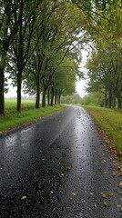Fototapeta premium Serene Rainy Country Road Surrounded by Lush Green Trees