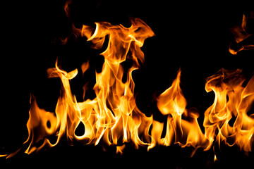 Fire flame. Burn lights on a black background.