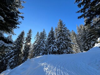 Fototapeta premium Amazing sport-recreational snowy winter tracks for skiing and snowboarding in the alpine Swiss tourist resort of Davos - Canton of Grisons, Switzerland (Kanton Graubünden, Schweiz)