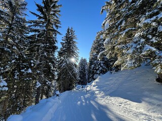 Amazing sport-recreational snowy winter tracks for skiing and snowboarding in the alpine Swiss tourist resort of Davos - Canton of Grisons, Switzerland (Kanton Graub&uuml;nden, Schweiz)