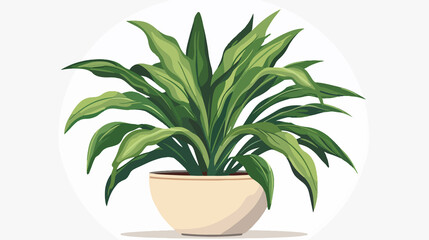 Modern Indoor Potted Corn Plant Dracaena Illustration