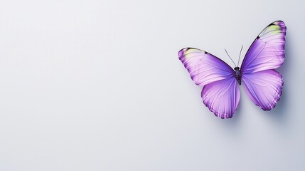 Elegant green, purple, blue, orange and red butterfly with radiant illuminated patterns on its wings, resting on a neutral grey backdrop