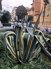 street cafe in the city