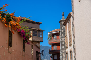 Traditional houses with flowering plants in La Orotava