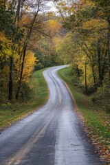Fototapeta premium This picturesque road gently curves through a tranquil forest, lined with vibrant autumn leaves in shades of yellow, orange, and green. The weather is overcast, adding to the peaceful ambiance