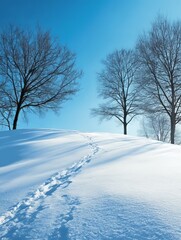 Obraz premium Winter Wonderland Footprints Across Snowy Hillside