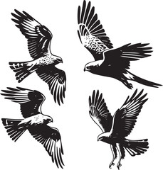 silhouette set of northern harrier flying poses, black and white illustration