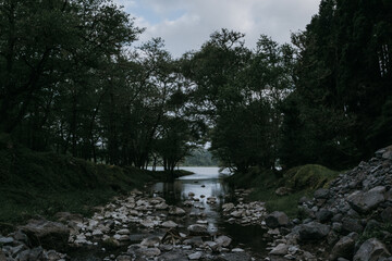 
Forest around the lake