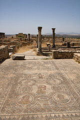 Obraz premium Archaeological Site of Volubilis
