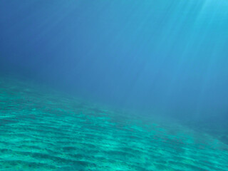 The sun shines through water, casting mottled light and shadow, intertwined with countless bubbles underwater, like a dance of light. Various aquatic, fish swimming in water in Mediterranean sea.