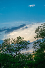 A serene sky with scattered clouds at sunset, framed by lush green trees.