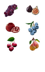 watercolor illustration of a fruit