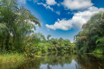 Fototapeta premium Beautiful view of the Black River