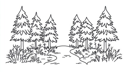 A winding path through a simple evergreen forest