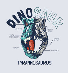 dinosaur slogan with t-rex head half skull anatomy vector illustration © tsuponk