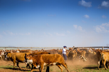 Obraz premium Fotos diversas, paisagem, campo, churrasco