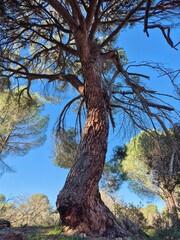 Parque Natural de Sierra Morena - Diciembre 2024 - 30