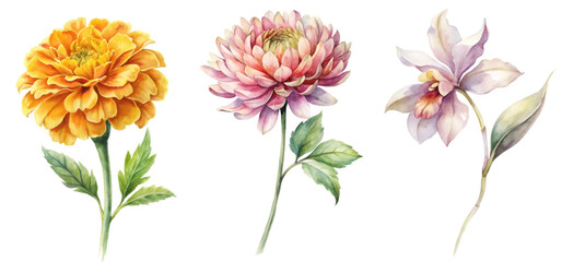 Vibrant floral watercolor illustration, colorful flower designs, botanical art style, nature-inspired decor, perfect for prints.