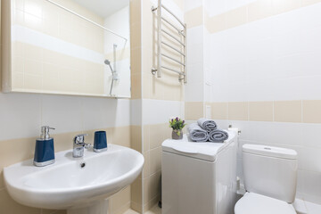 modern bathroom room with toilet and washing machine